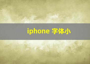 iphone 字体小